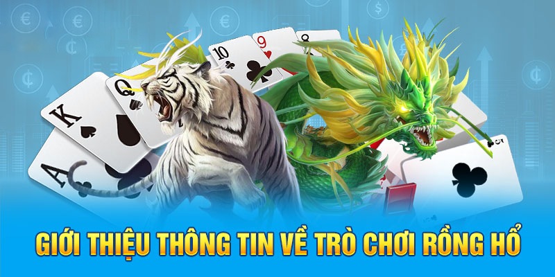 Mẹo chơi Long Hổ W88: Chiến thắng dễ dàng tại nhà cái hàng đầu